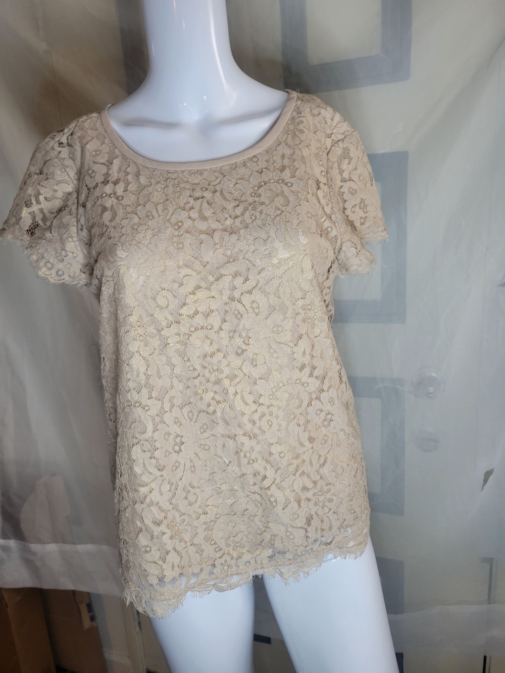 Joie Cream Lace Scoop Neck Short Sleeve Blouse